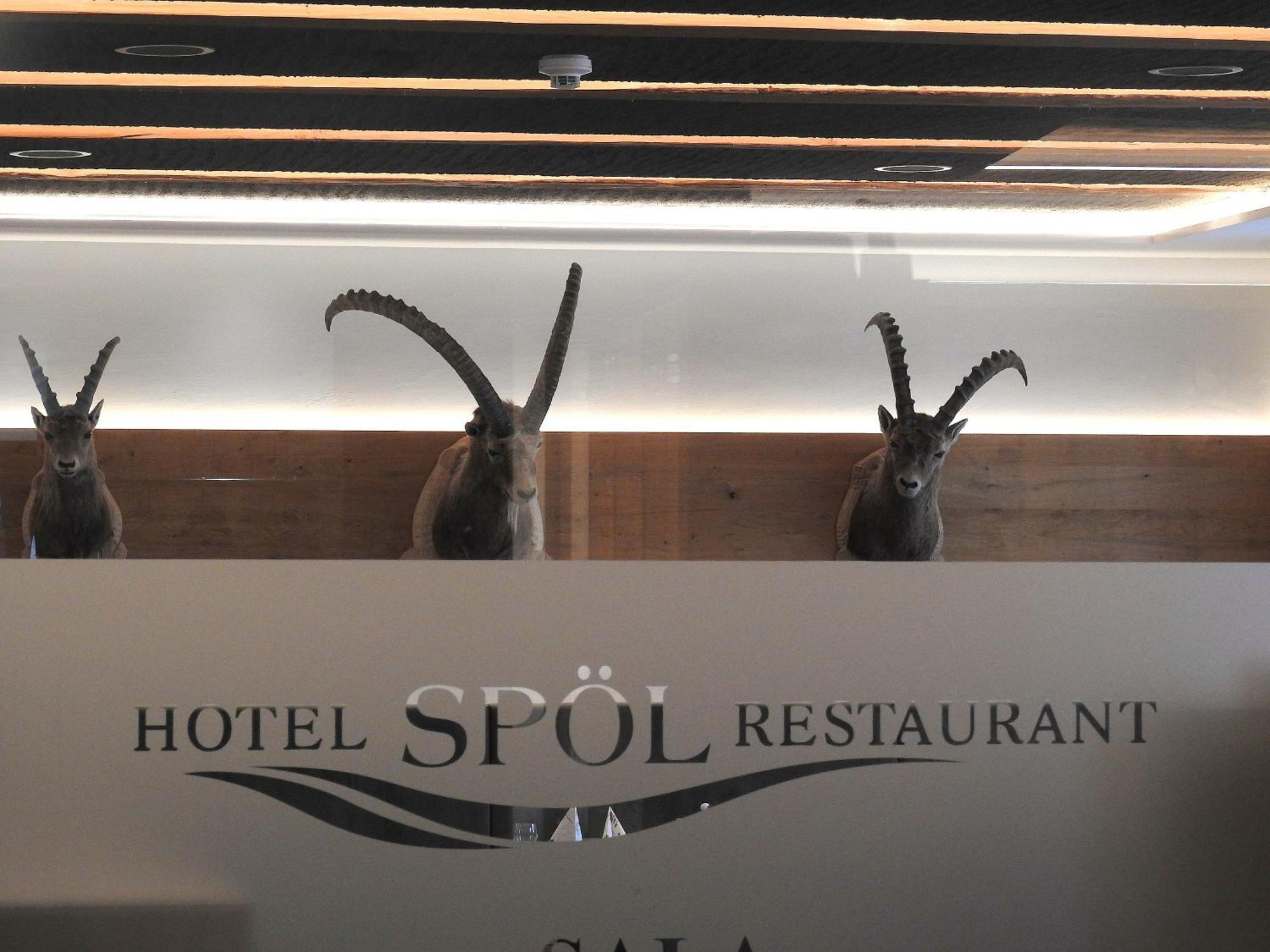 Spöl Hotel